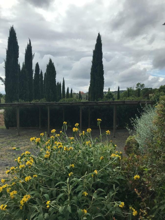 Casa Vacanze "Casale Al Pino" Riparbella Εξωτερικό φωτογραφία